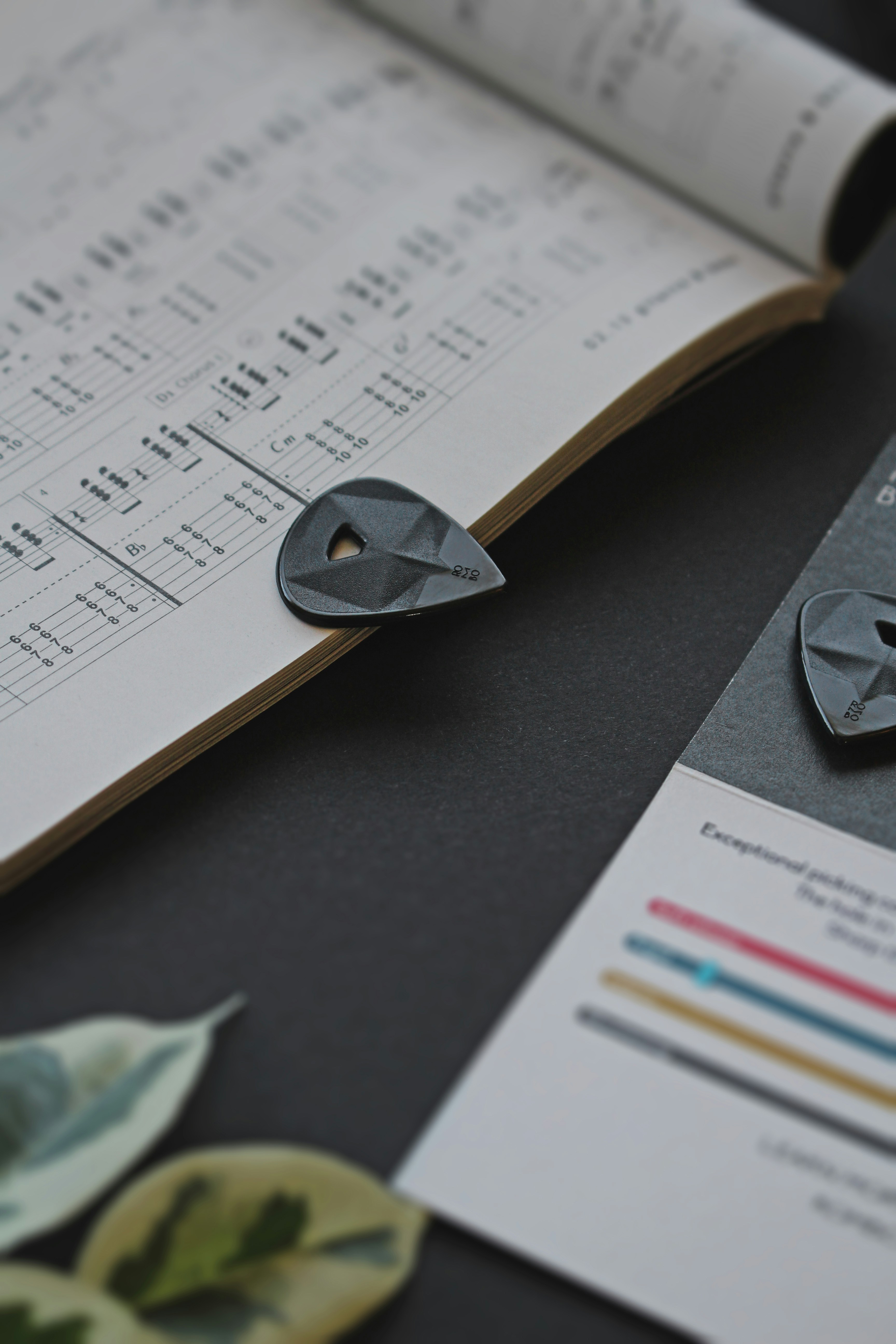 Photo by rombo_guitar_picks