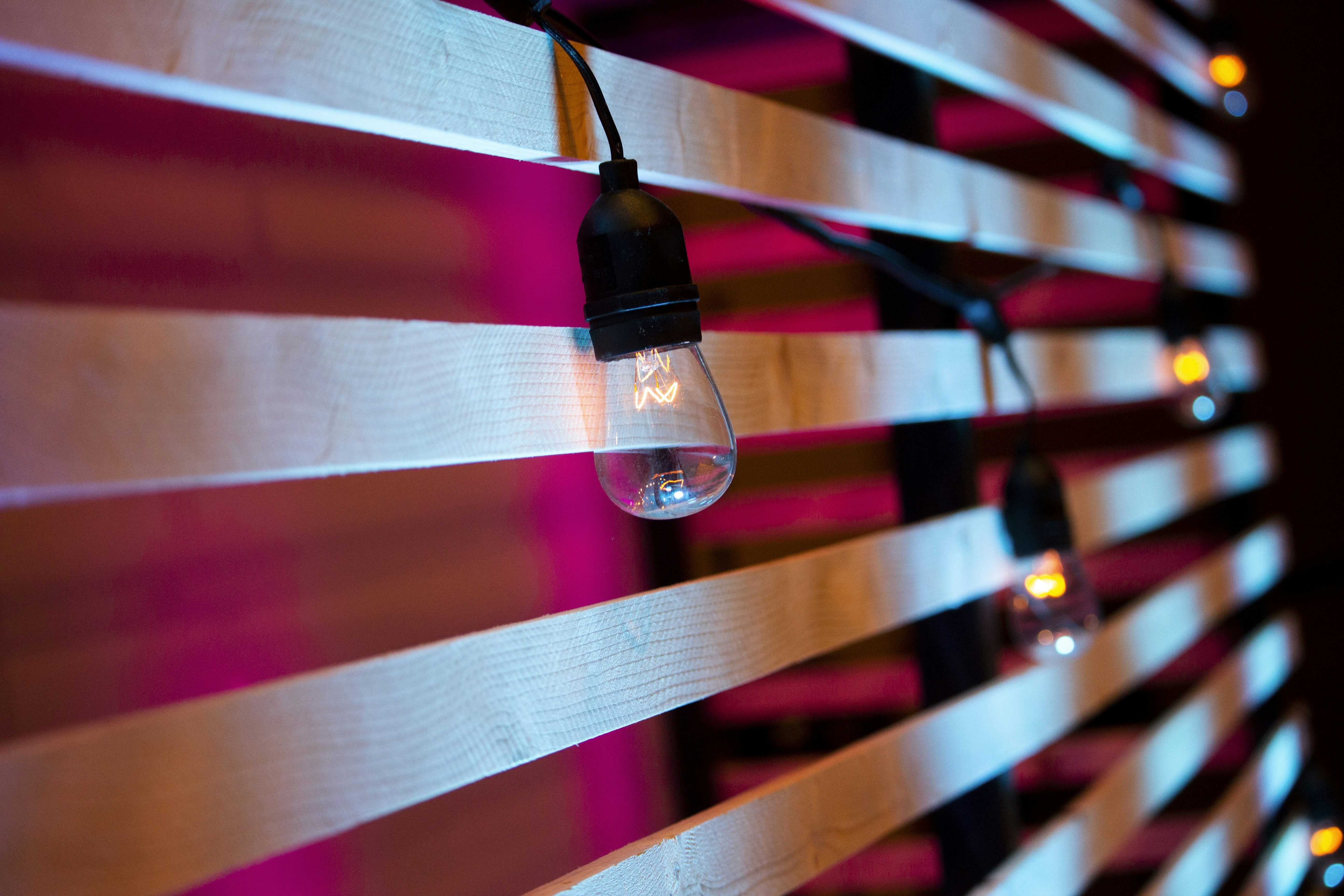 black and clear light bulb minnesota teams background