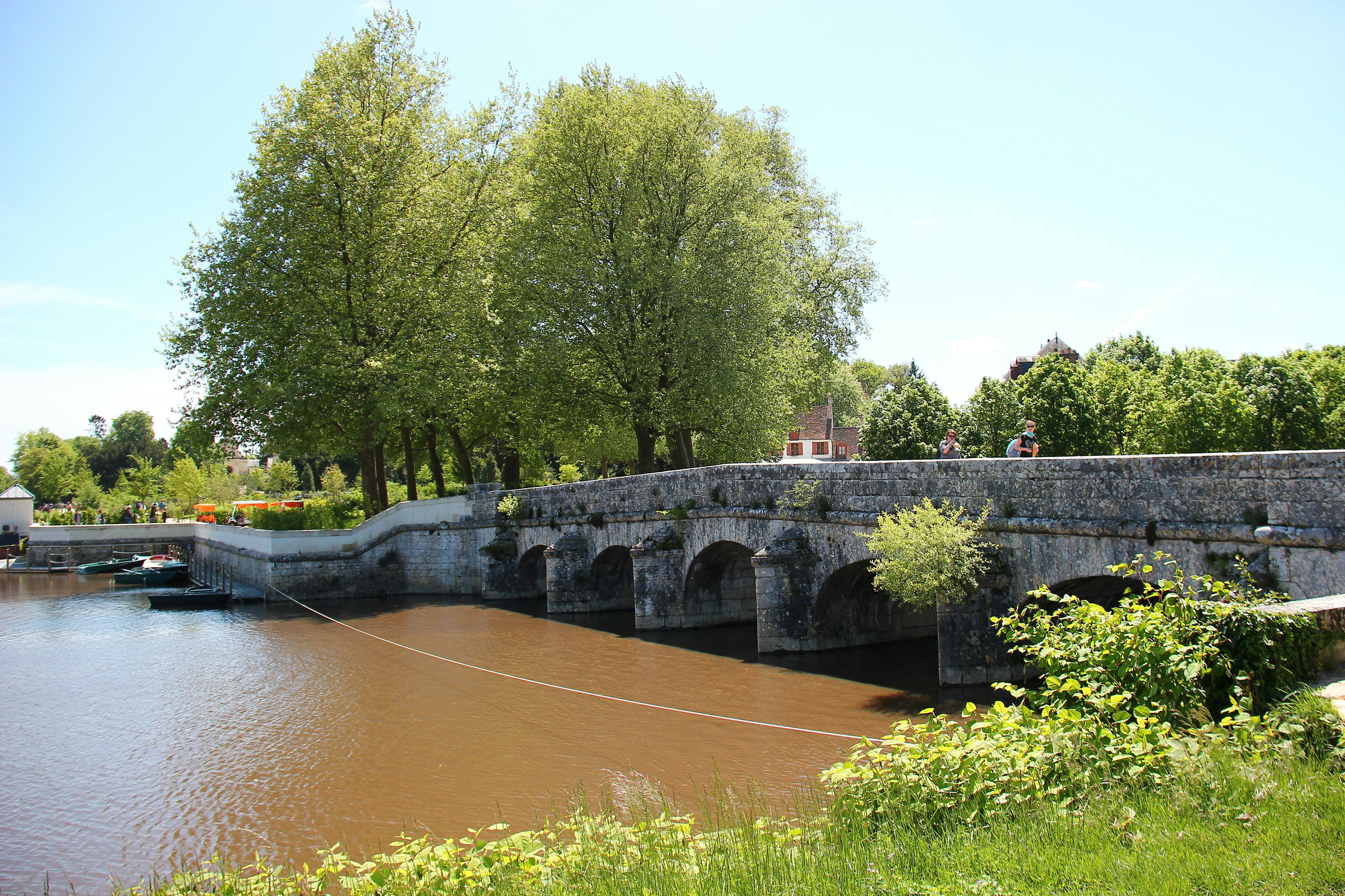 Photo by shalevcohen