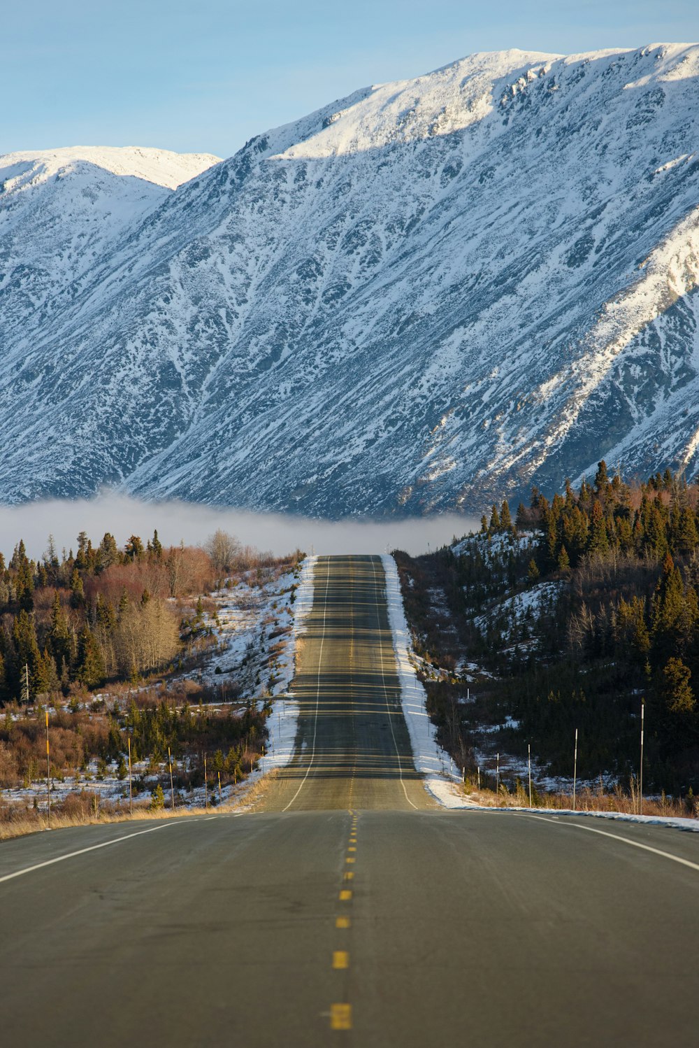 gray concrete road between green trees near mountain