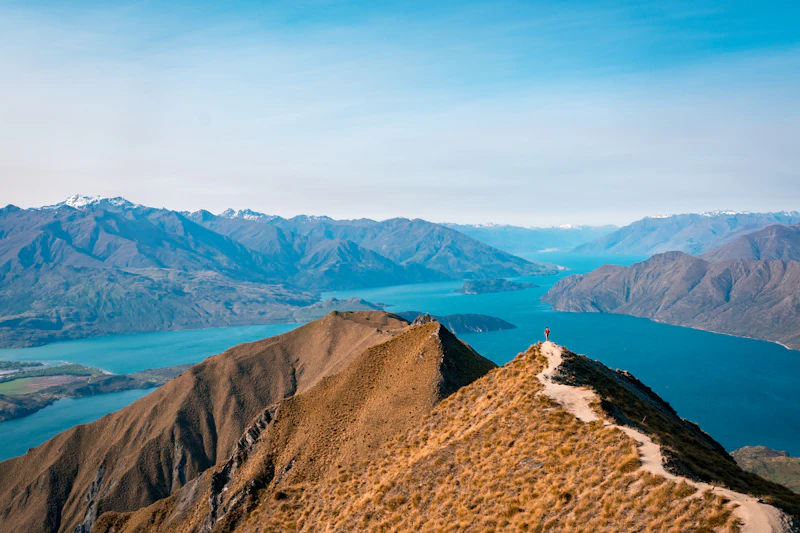 Best Rainy Day Activities in Wanaka When the Weather Turns
