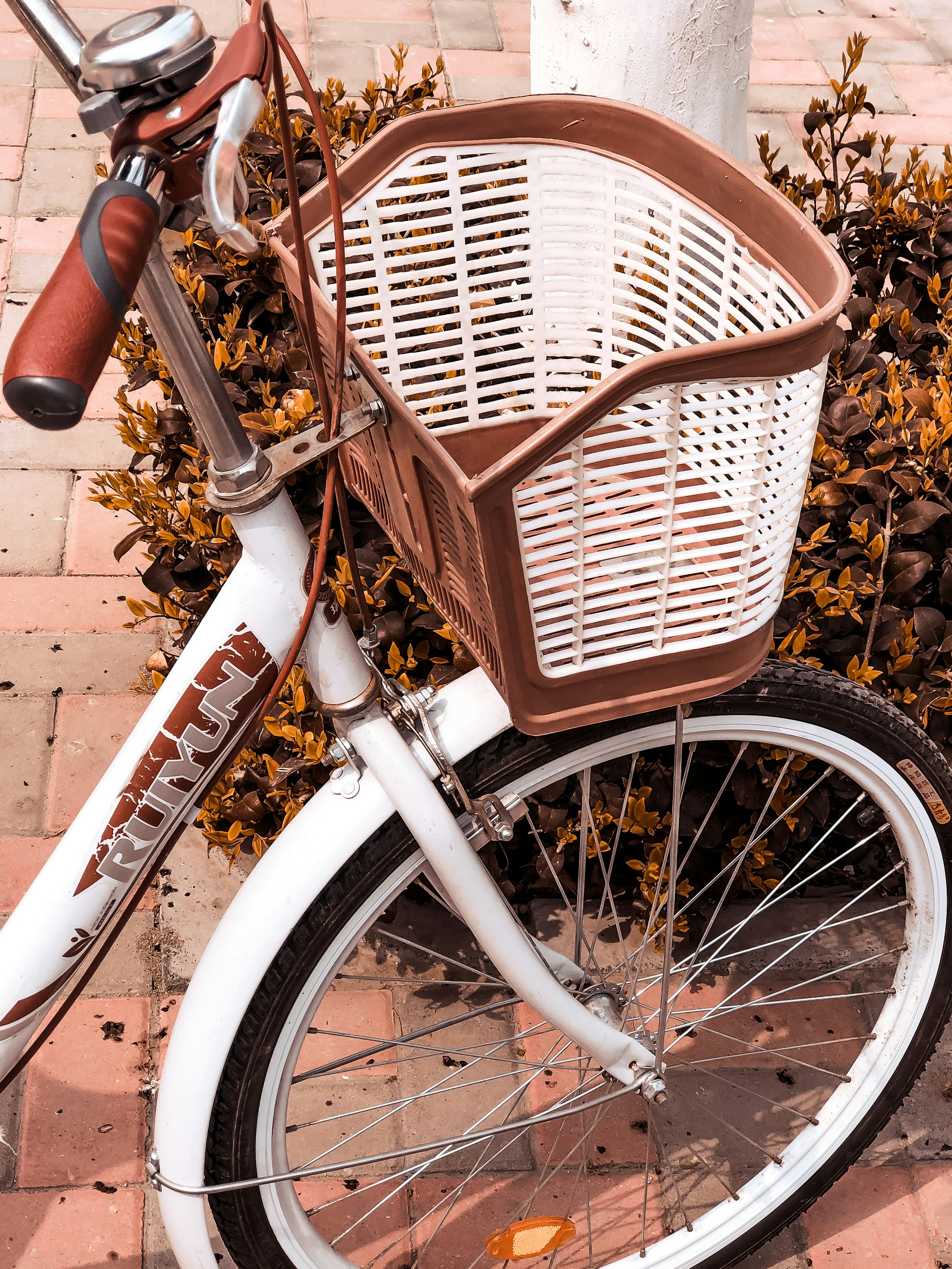 white and black bicycle with basket