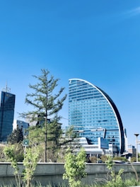 green trees near city buildings during daytime