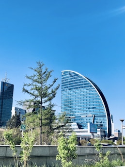 green trees near city buildings during daytime