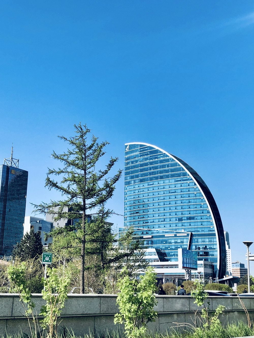 green trees near city buildings during daytime