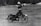 A person riding a vintage motorcycle with arms outstretched, possibly performing a balancing act or stunt. The image is in black and white, adding a classic and nostalgic feel. The motorcycle appears to be moving across a textured surface with blurred trees in the background.