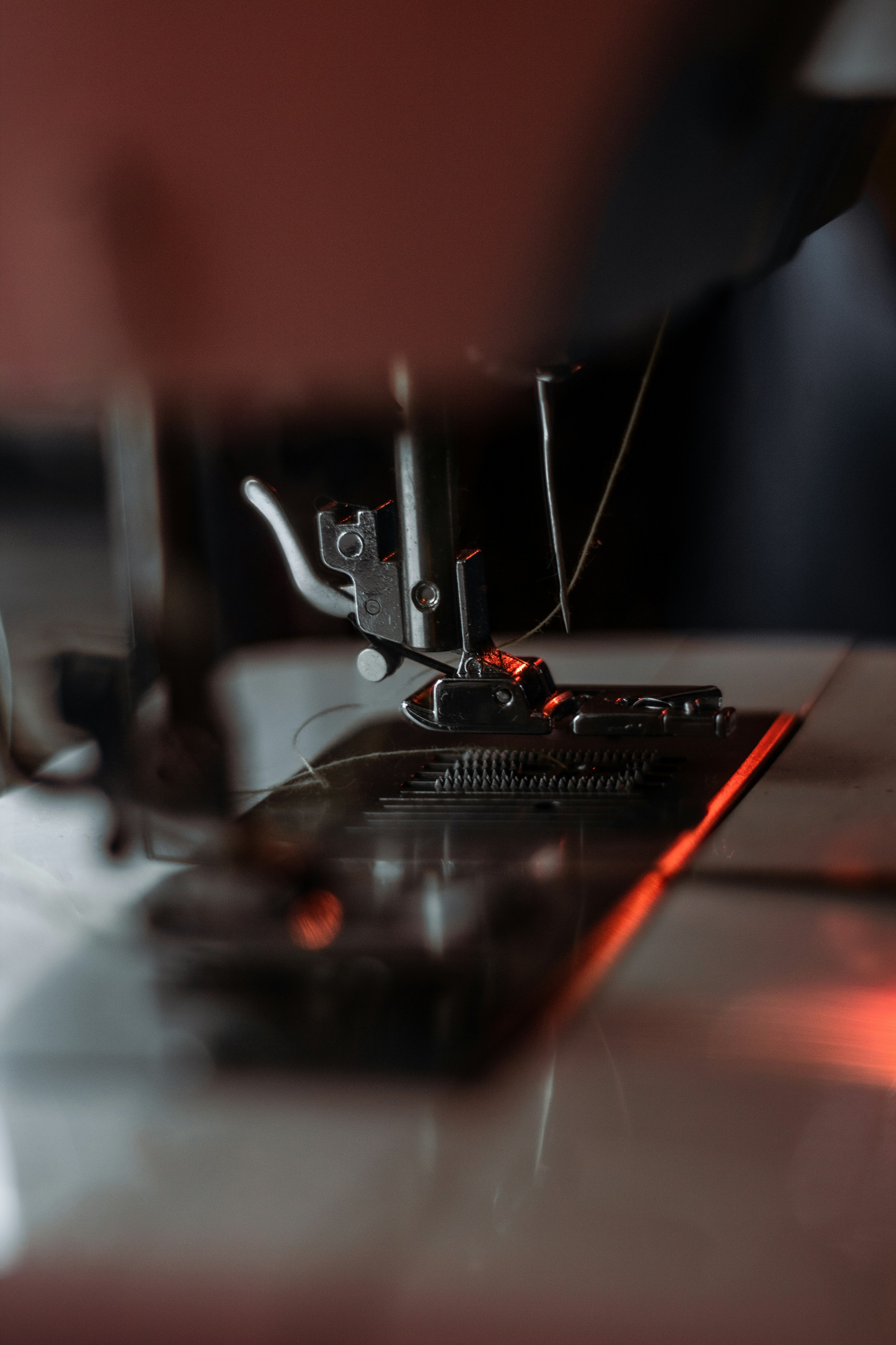 Photo by roberts_richie