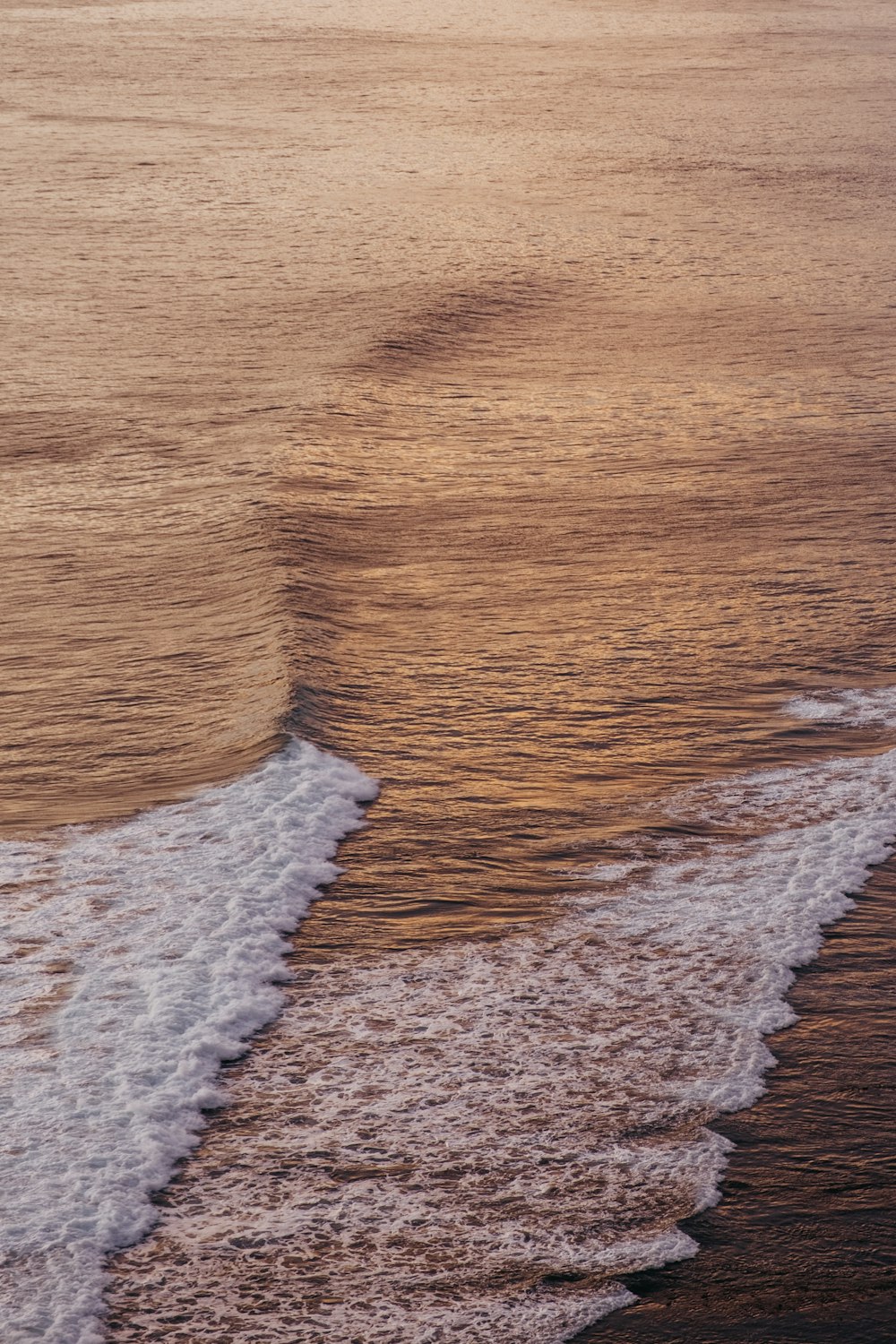 brown and white sand beach