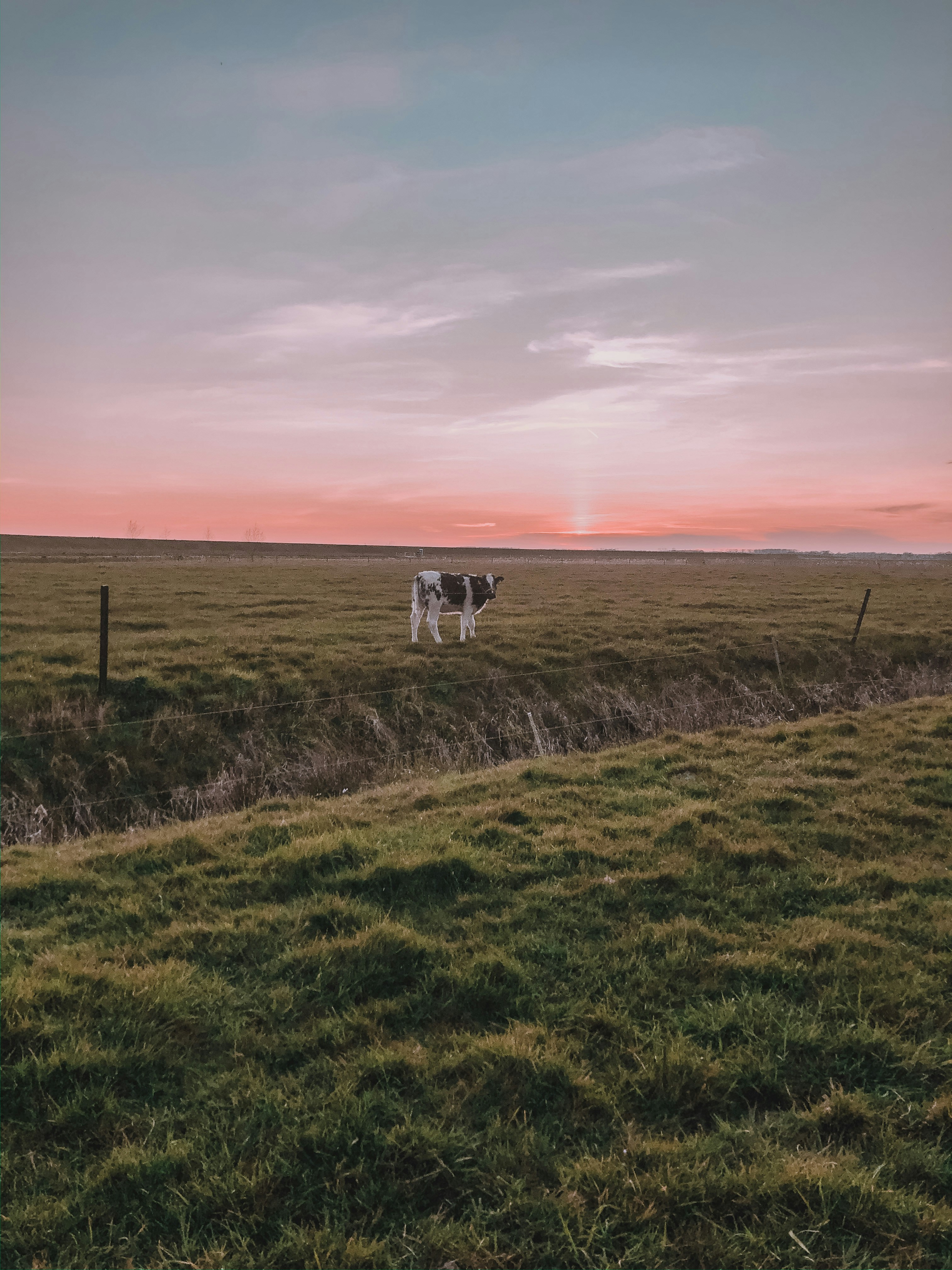 Photo by maritvanwijngaarden