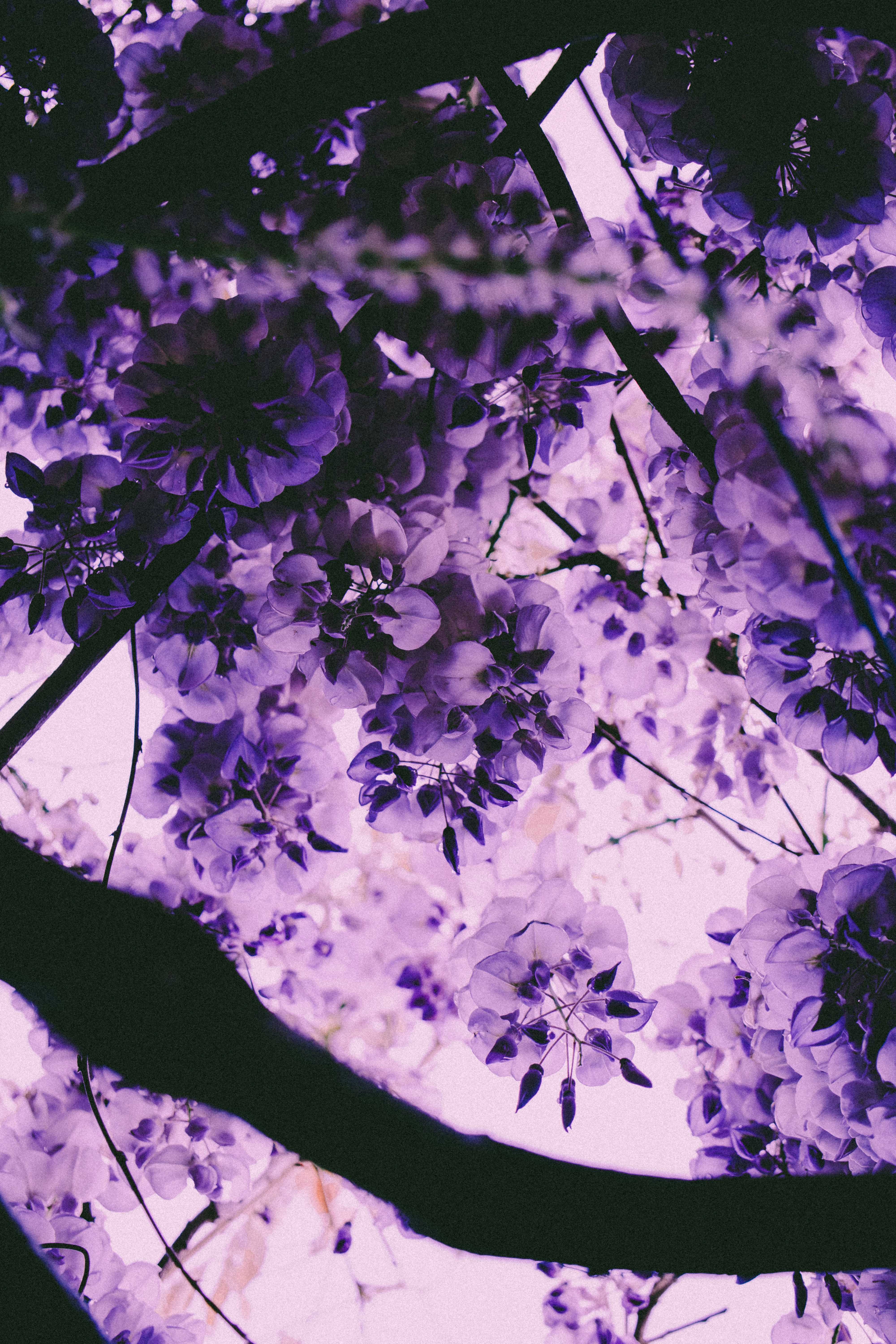 Photo by edwardhowellphotography