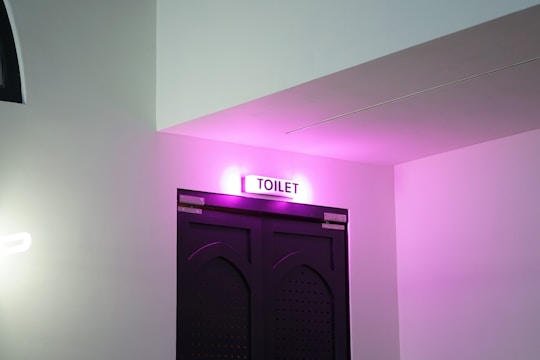 A doorway labeled as a toilet is illuminated with pink lighting, set against a white wall. The door is dark-colored with a specific geometric pattern.