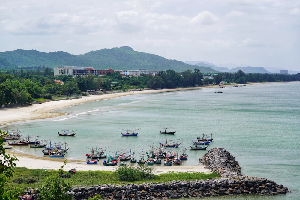 boats on sea near green trees during daytime