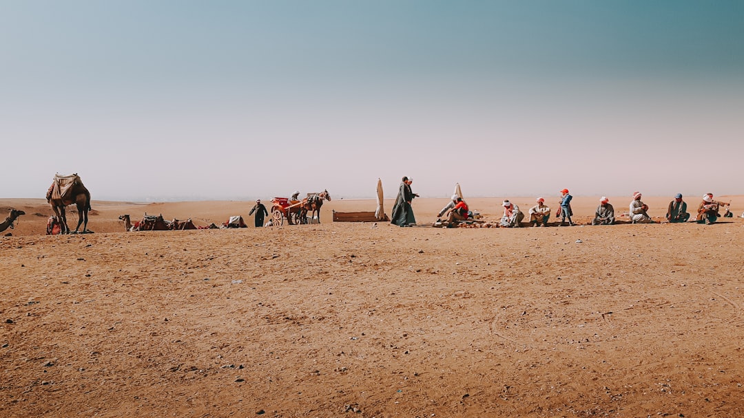 people riding camel on brown sand during daytime