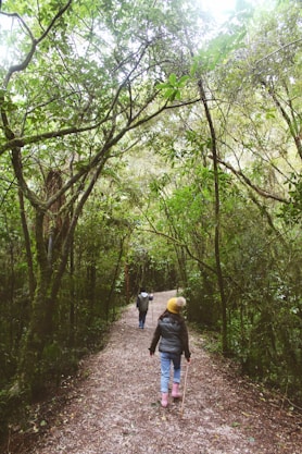 woman in blue jacket walking on pathway between green trees during daytime