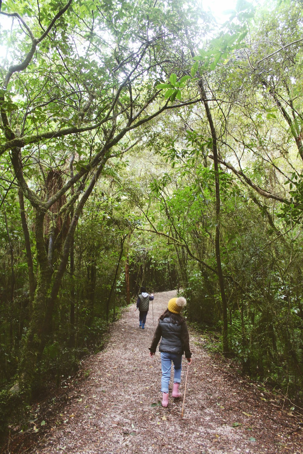 woman in blue jacket walking on pathway between green trees during daytime