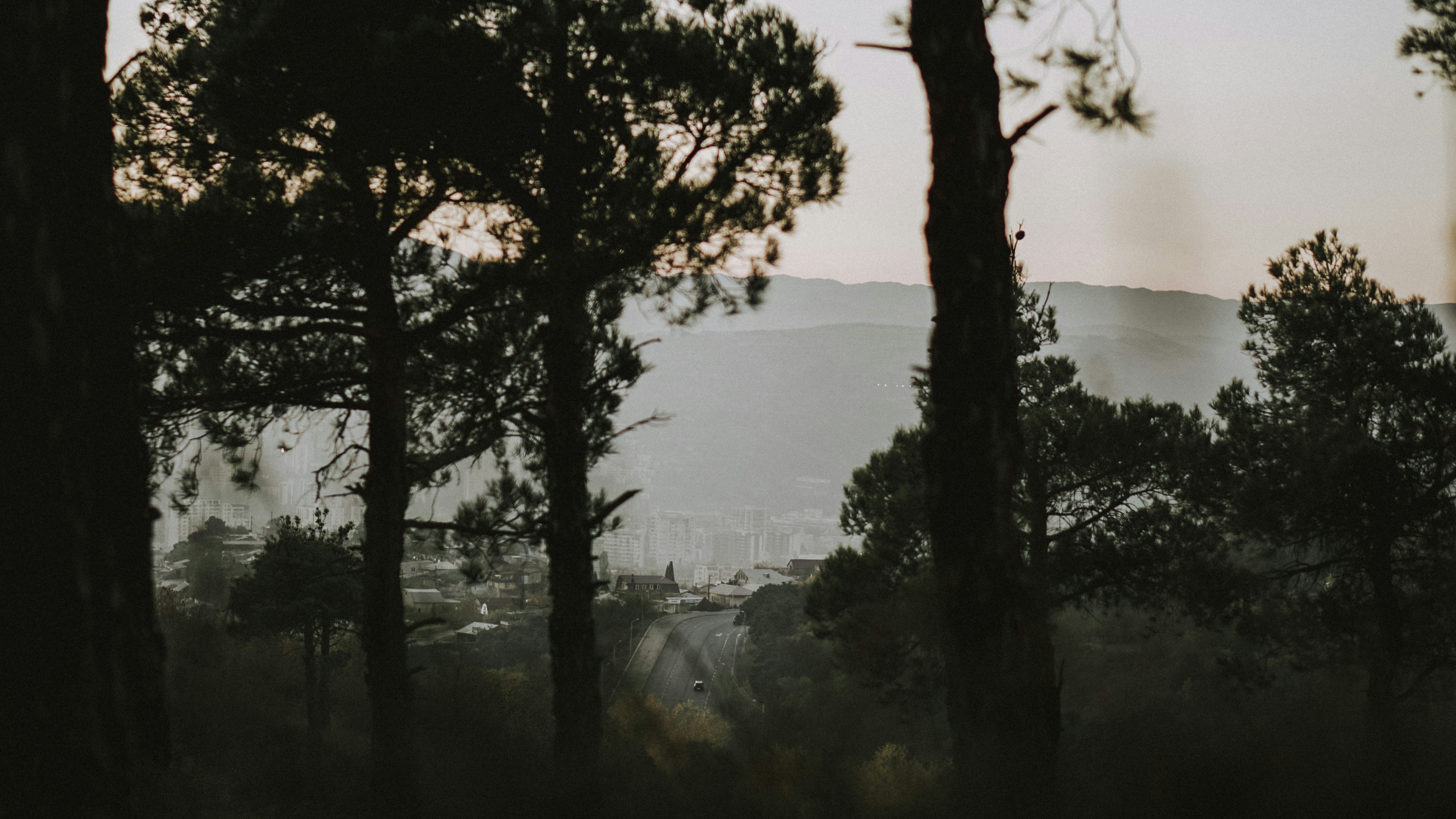 Photo by shadesofdecay