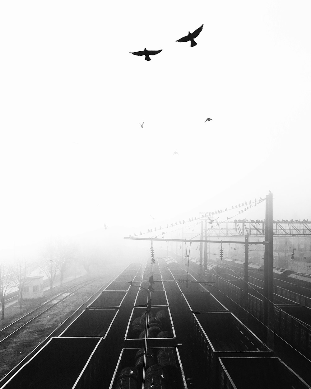 grayscale photo of a man in a road