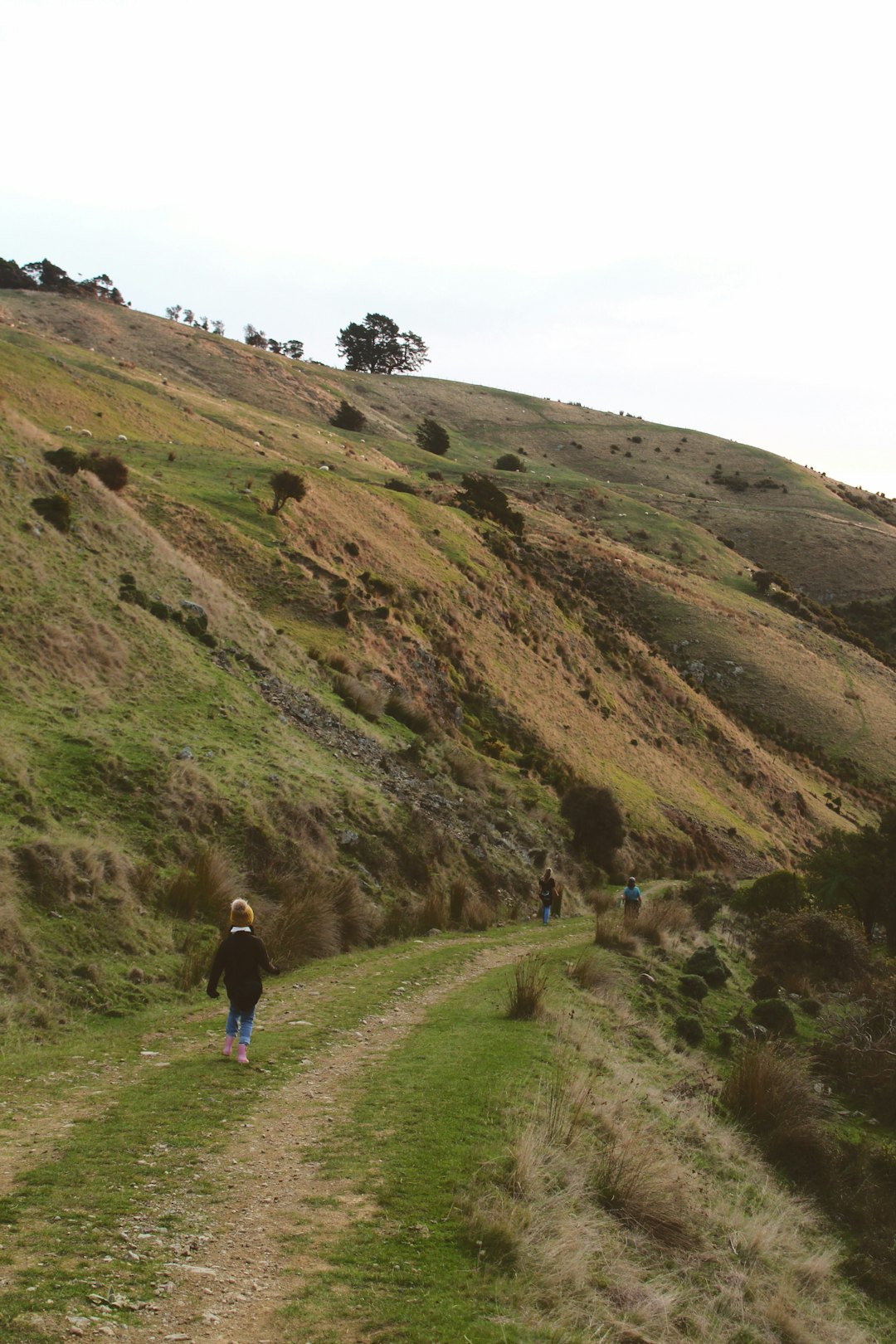 Hill photo spot Glenduan Riwaka