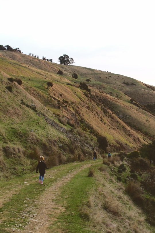 people walking on green grass field during daytime in Glenduan New Zealand