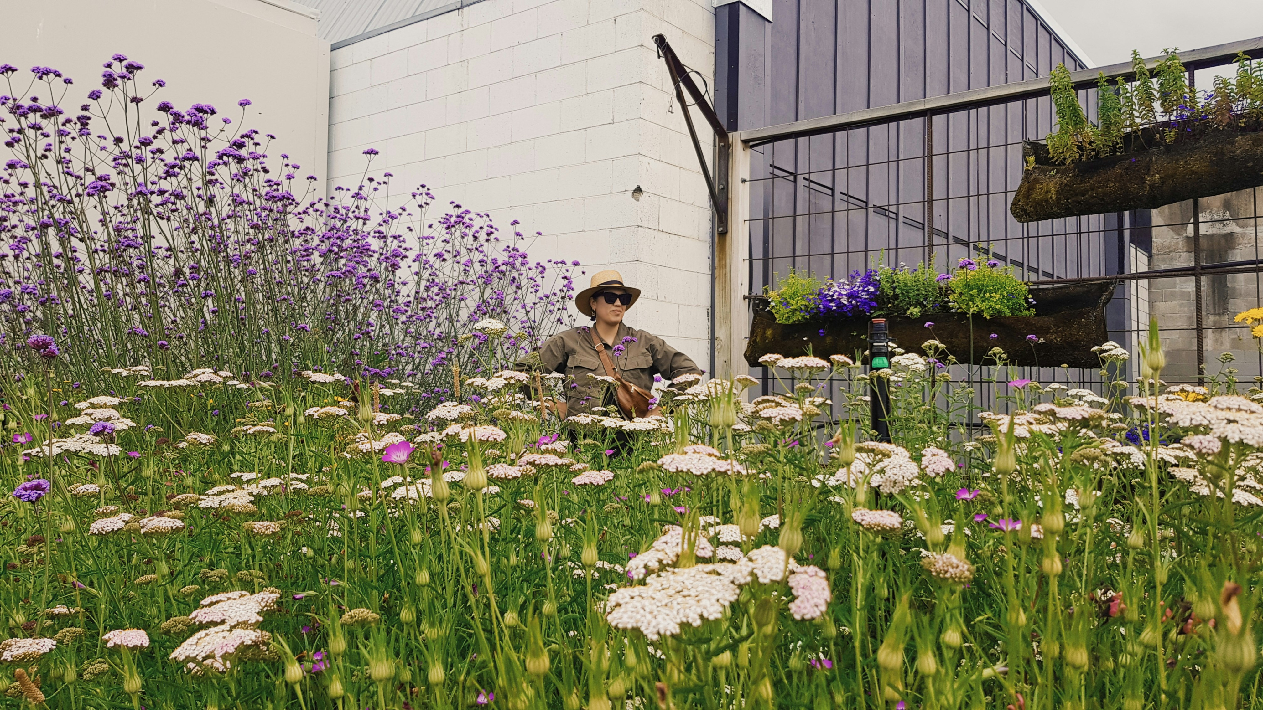 woman in brown coat sitting on green grass field
