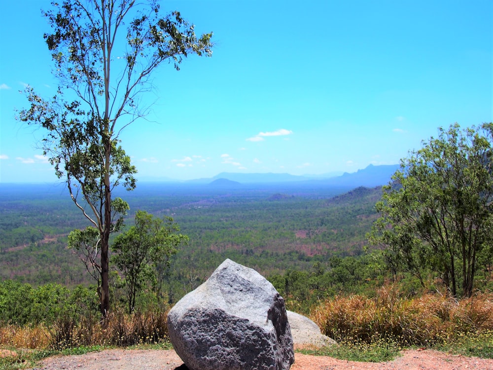 a large rock sitting on top of a lush green hillside