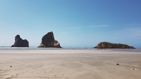 brown rock formation on sea shore during daytime in Archway Islands New Zealand