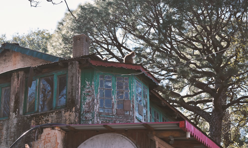 blue wooden house near trees during daytime