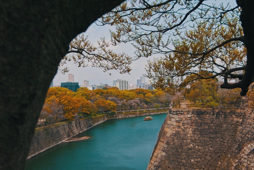 body of water between trees during daytime