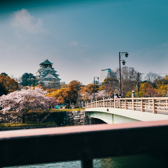 white bridge over river during daytime in Osaka Castle Park Japan