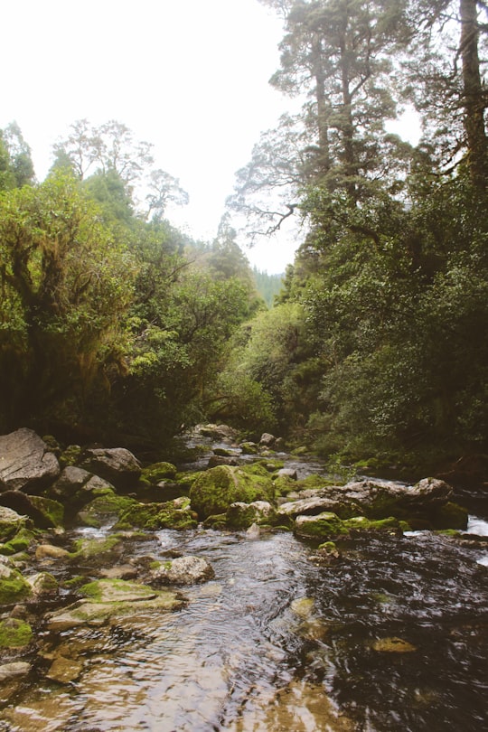 photo of Riwaka Stream near Haulashore Island