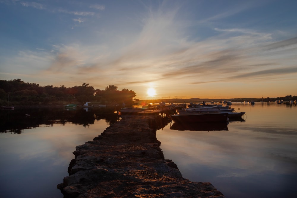 corpo d'acqua vicino agli alberi durante il tramonto