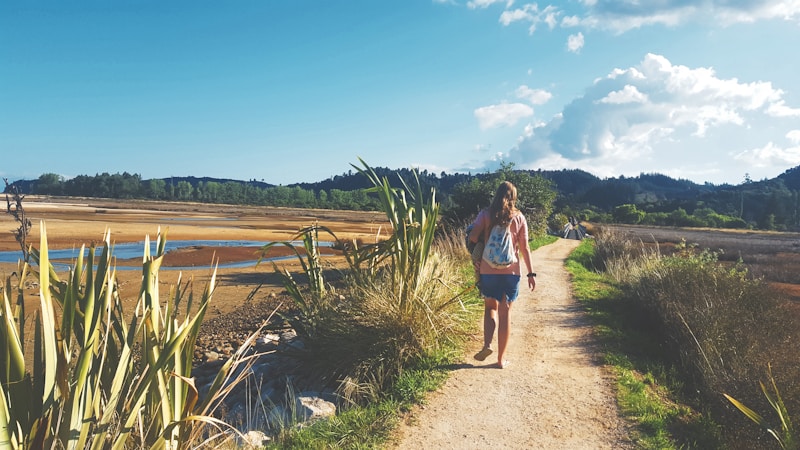 Abel Tasman National Park