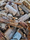 An assortment of logs and branches ready for disposal.