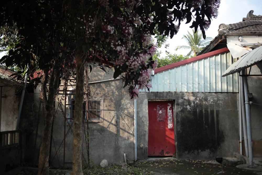 red wooden door near green tree