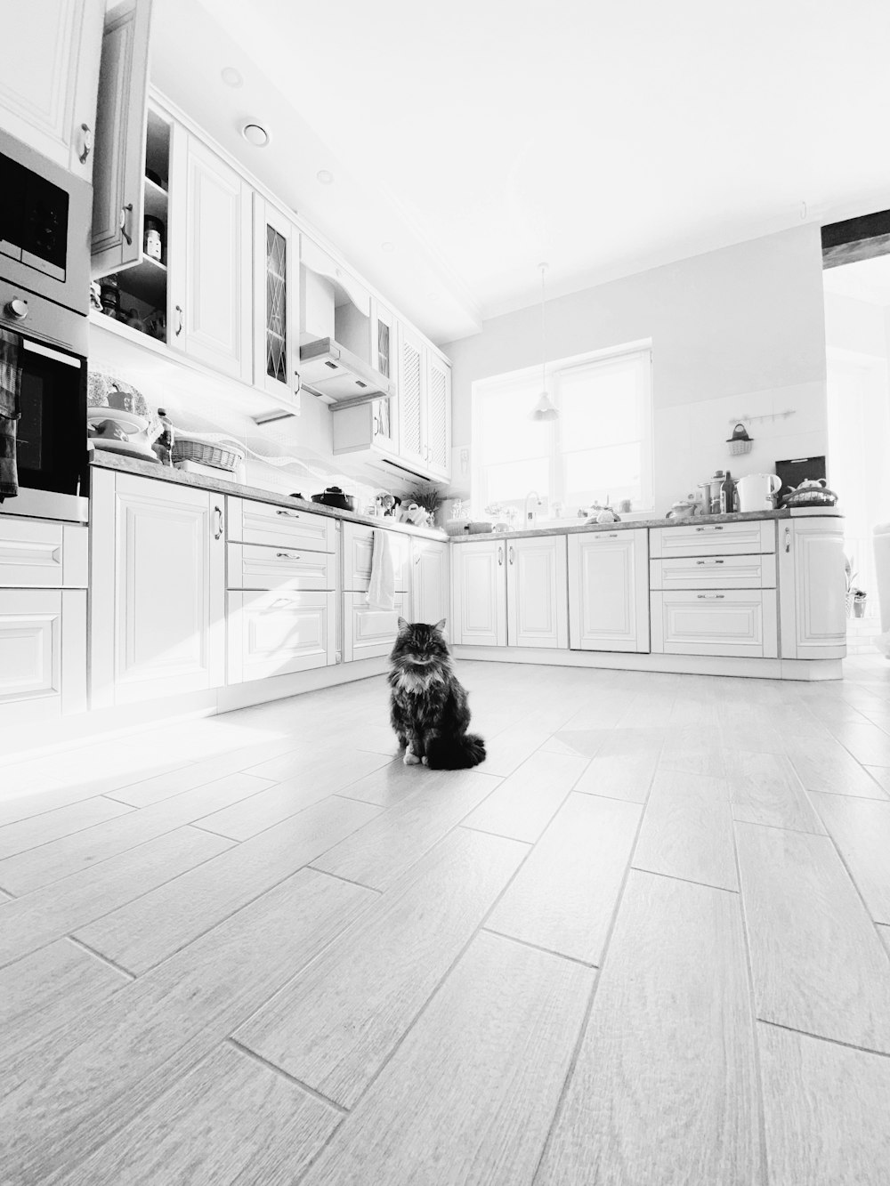 black and white photo of kitchen
