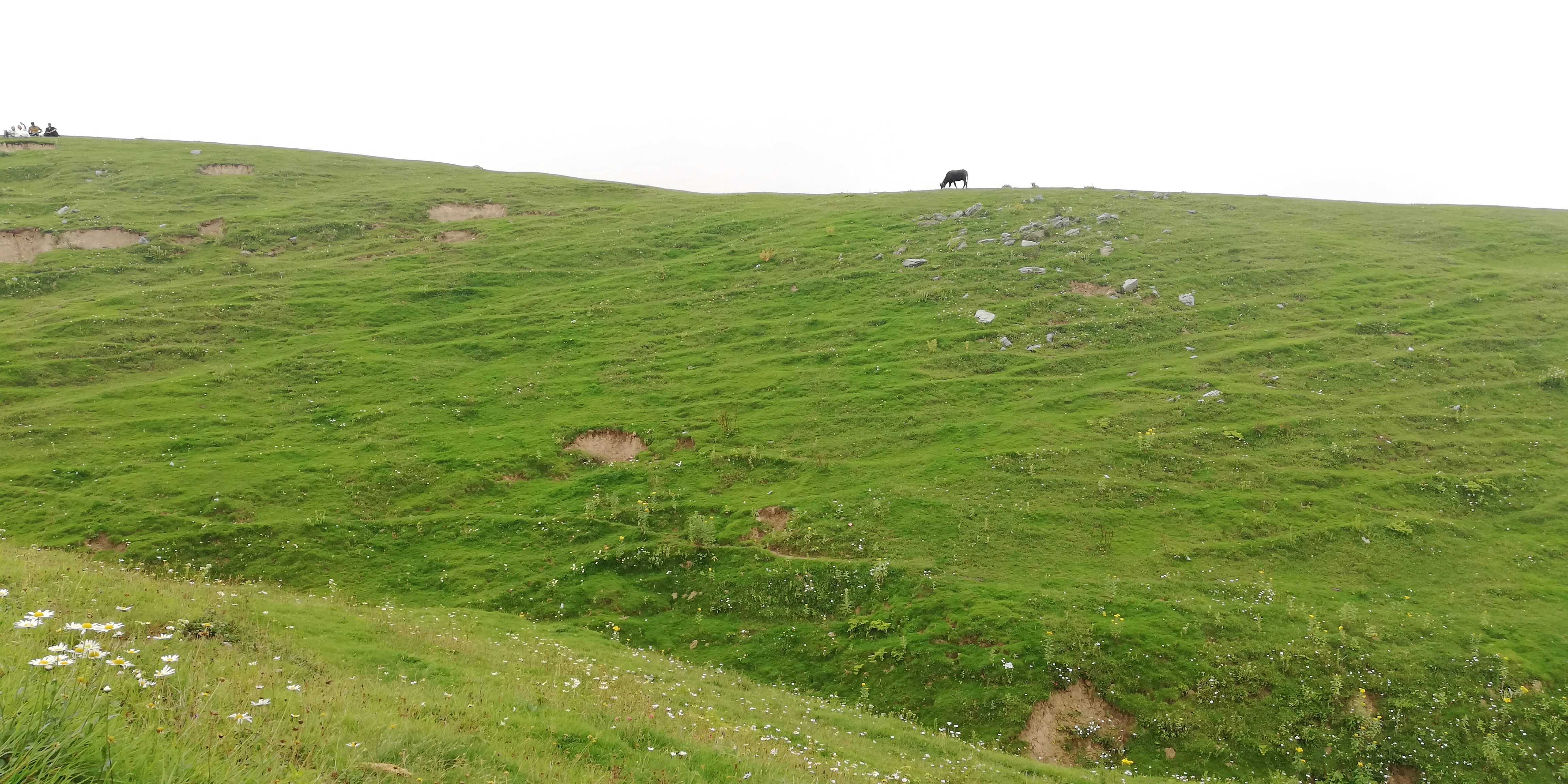 Photo by shakeel4811