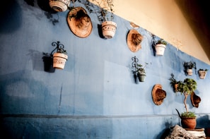 A blue wall adorned with decorative ceramic pots containing small plants, and straw hats hung neatly in an artistic fashion. The wall has a rustic, textured look. The scene includes a potted plant on the floor in the foreground, sitting beside a piece of outdoor furniture with a patterned cushion.