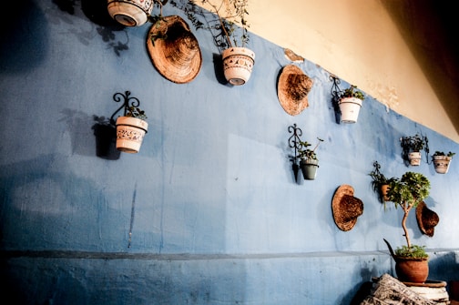 A blue wall adorned with decorative ceramic pots containing small plants, and straw hats hung neatly in an artistic fashion. The wall has a rustic, textured look. The scene includes a potted plant on the floor in the foreground, sitting beside a piece of outdoor furniture with a patterned cushion.