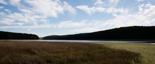 green grass field near lake under blue sky during daytime in Myponga Reservoir Australia