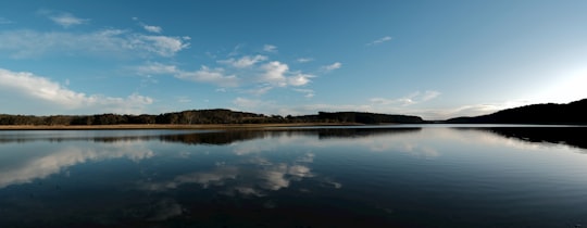 lake near green trees under blue sky during daytime in Myponga Reservoir Australia