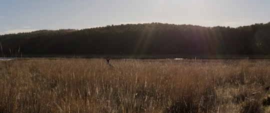 photo of Myponga Reservoir Nature reserve near Belair National Park