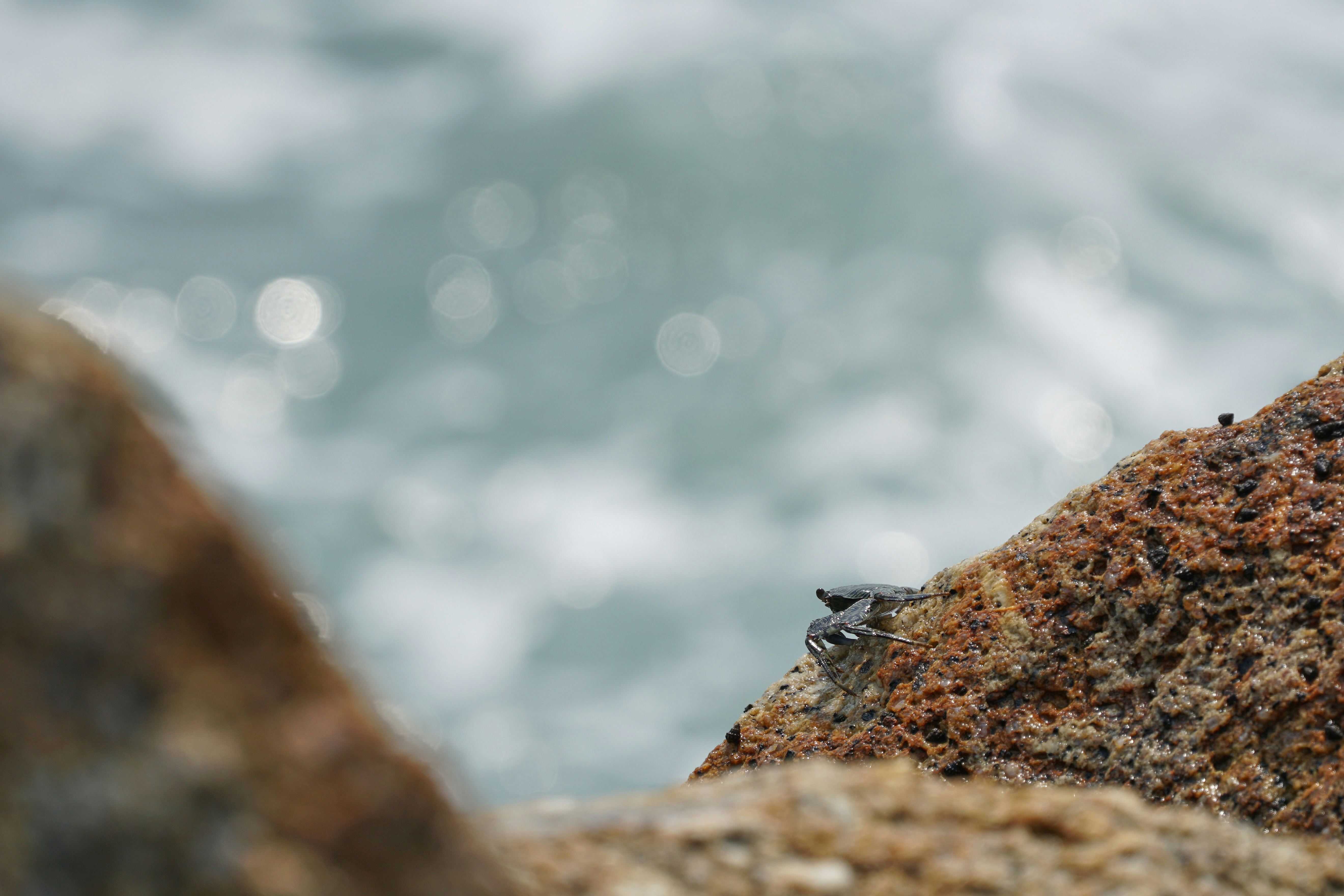 Photo by wolfgang_hasselmann