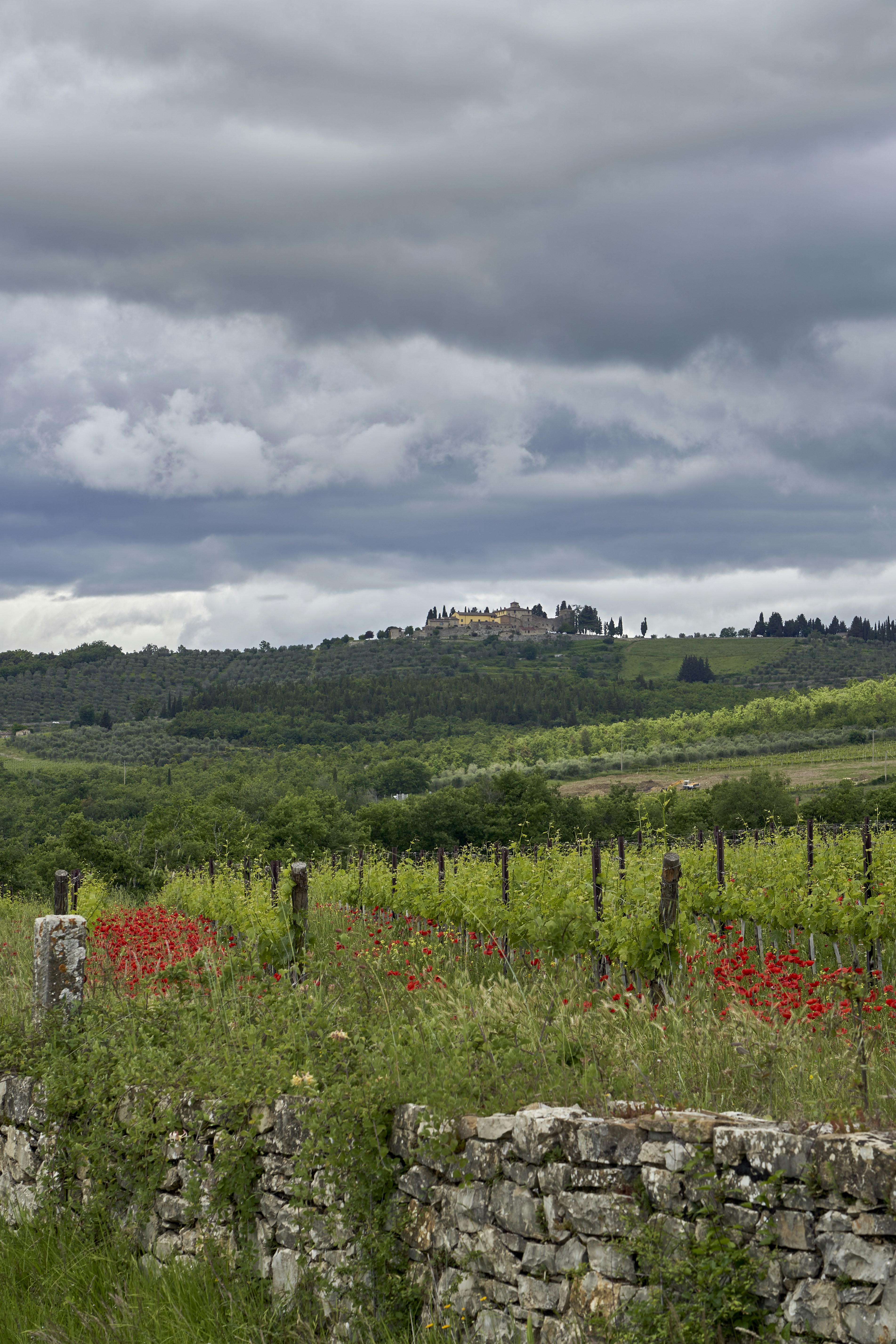 Photo by wolfgang_hasselmann