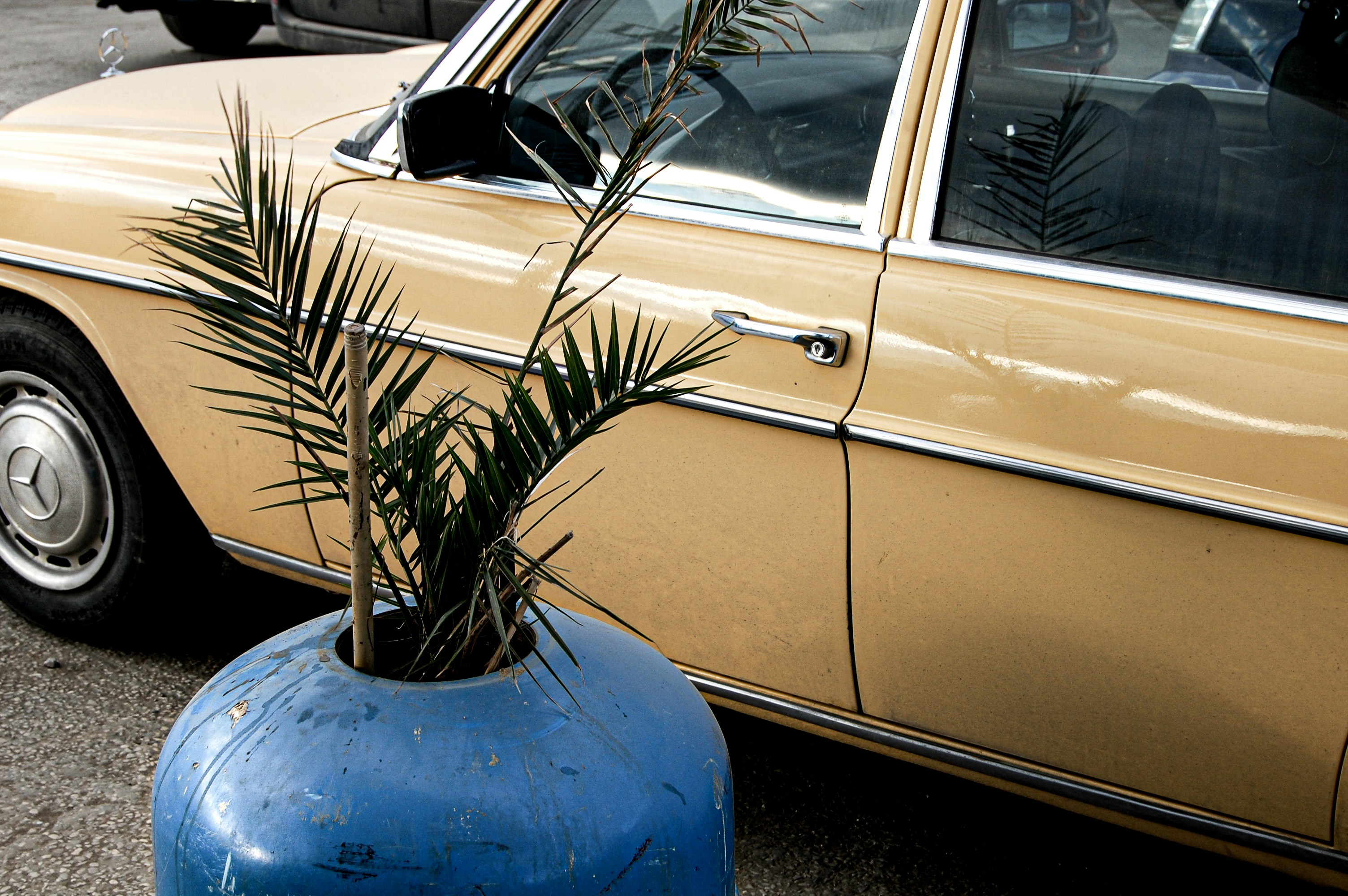 Photo by ferranfeixas