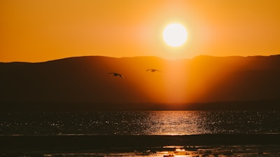 birds flying over the sea during sunset