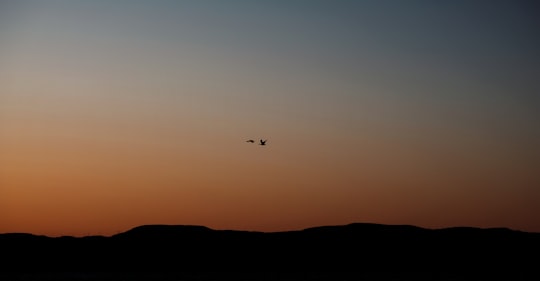 silhouette of airplane flying during sunset in Montmagny Canada