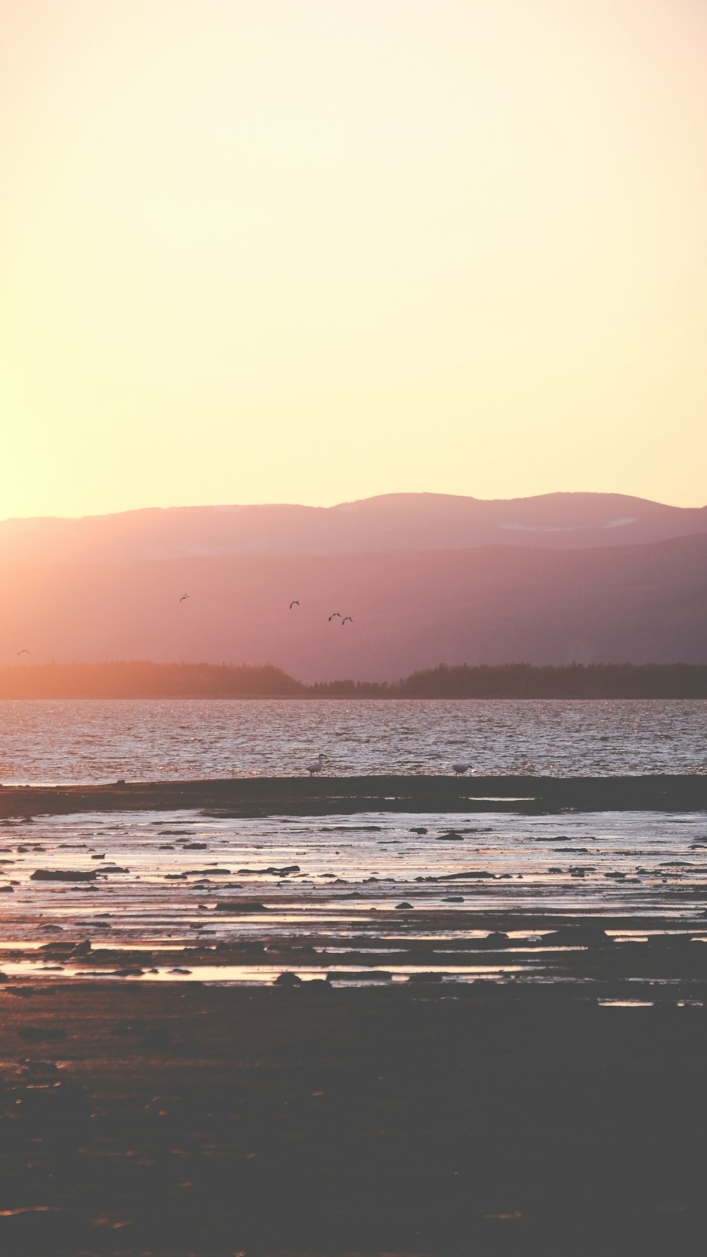 body of water during sunset