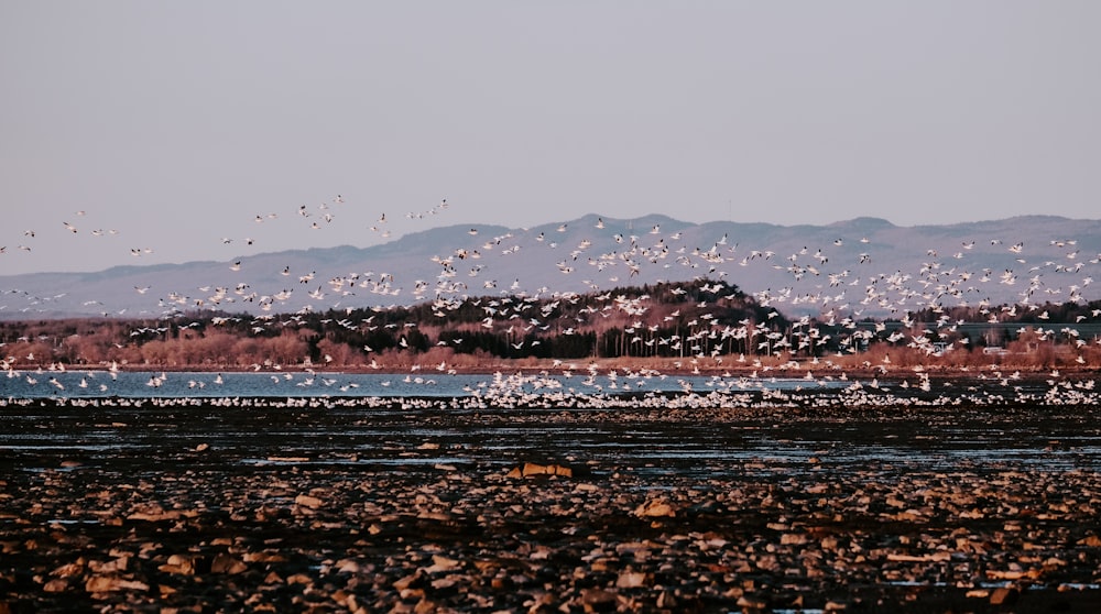 body of water near mountain during daytime