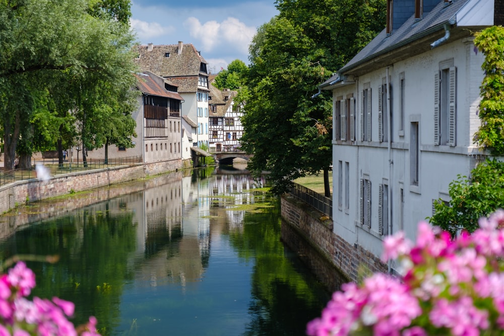 Weißes und braunes Betonhaus am Fluss tagsüber