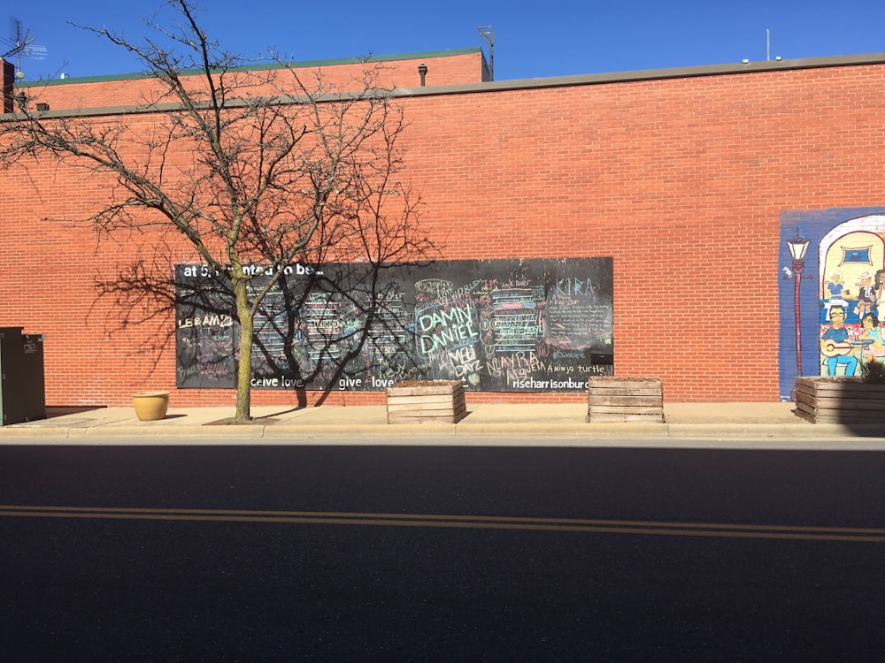 bare trees in front of brown brick building